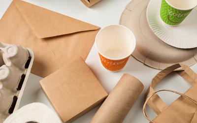 Is the Paper Industry Sustainable?  